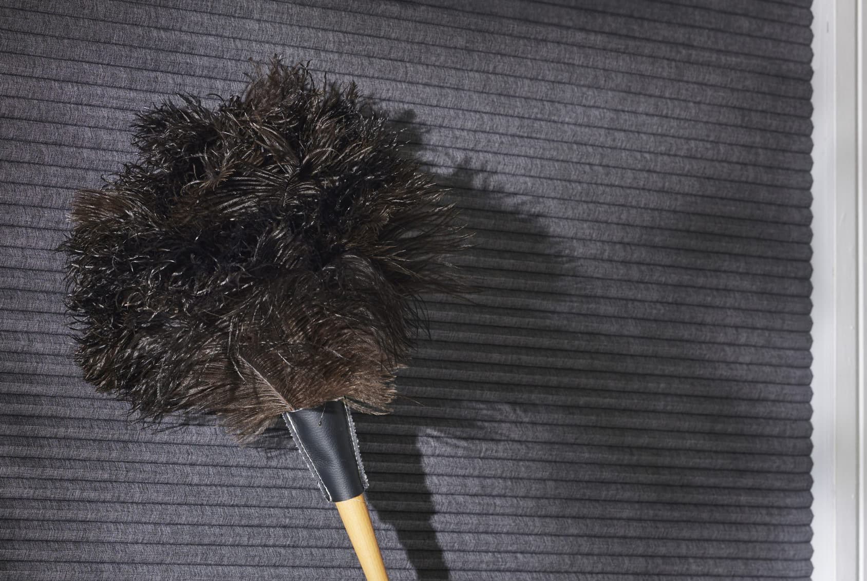 Dammvippa dammar av rengör mörkblå plisse